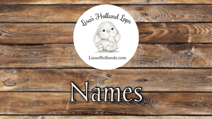 Lisa's Bunny Names - LISA'S HOLLAND LOPS
